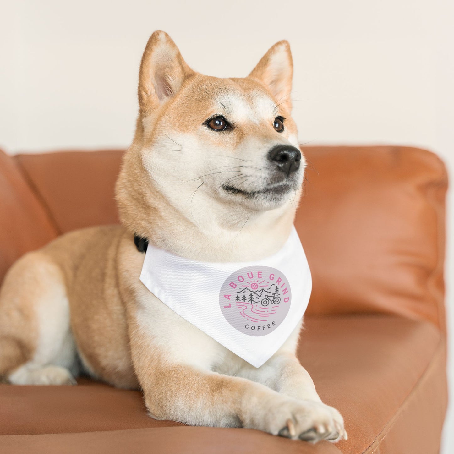 Pet Bandana Collar